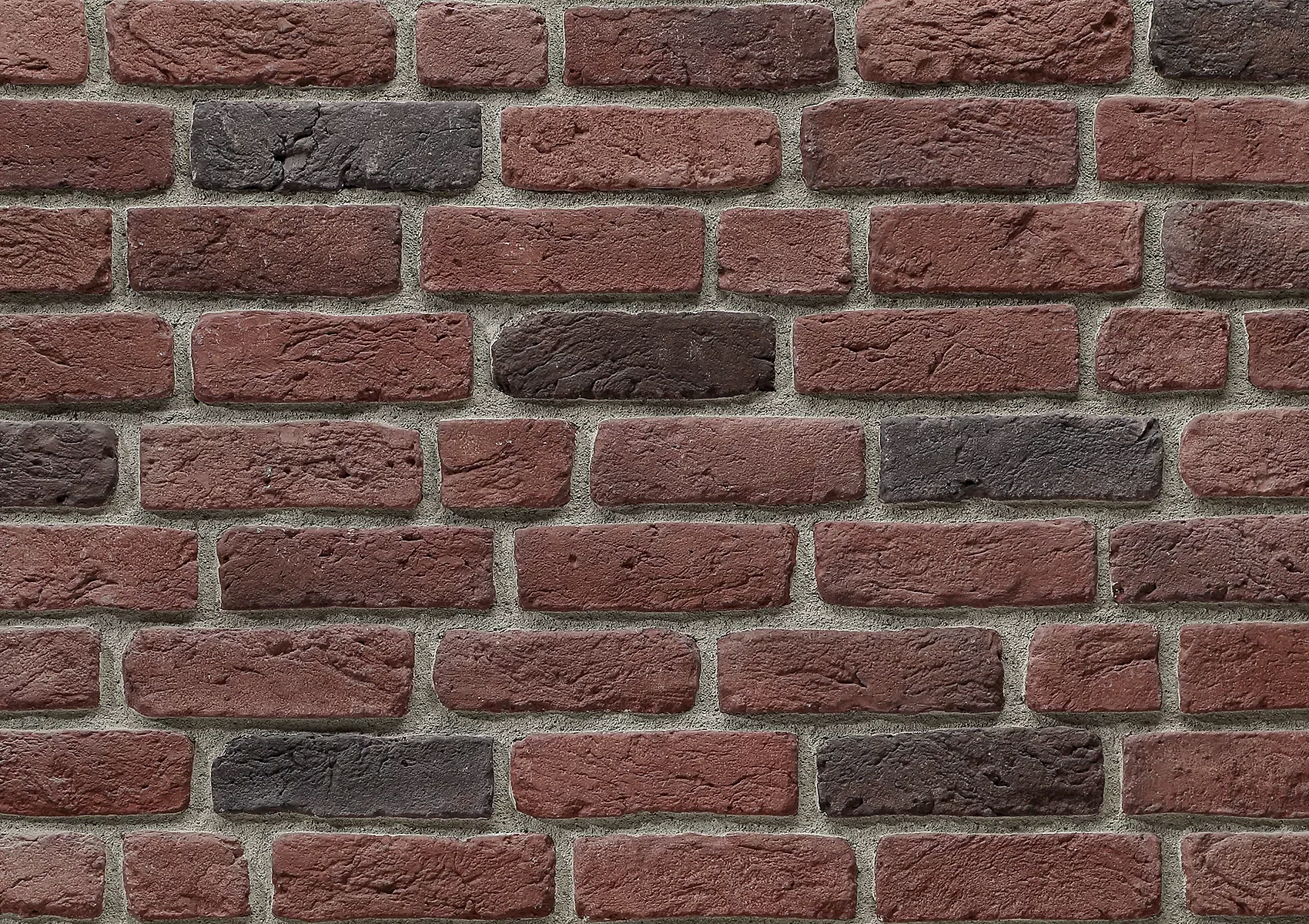 Barok-4
